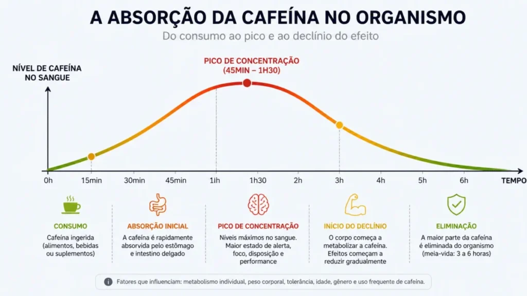 curva absorção cafeína organismo efeito corrida