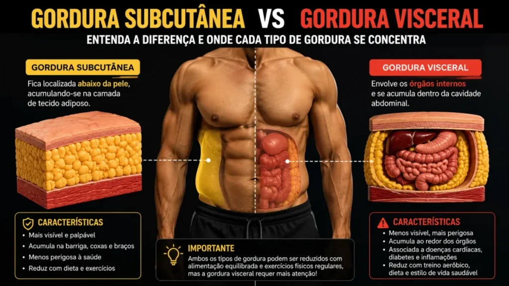 treino de corrida para perder barriga gordura subcutânea visceral diferença